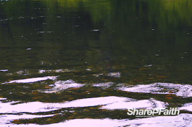Serene River Worship Motion Background