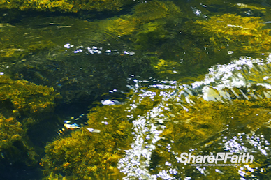 River Rock Nature Worship Video Loop