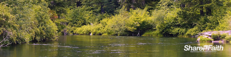 Forest Creek Nature Triple Wide Motion Graphic