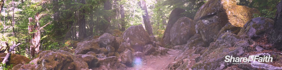 Nature Trail Adventure Triple Wide Motion Background