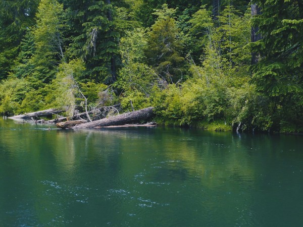 River Log Church Worship Background
