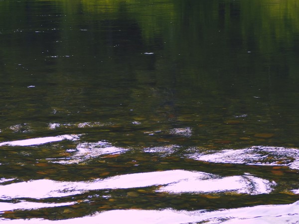 Serene River Nature Worship Background
