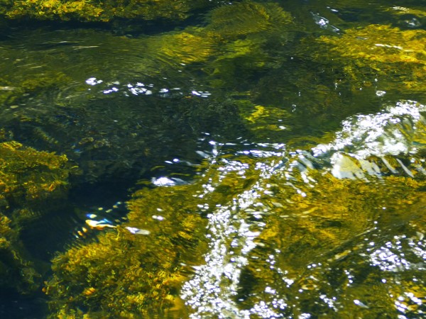 River Rock Nature Worship Background