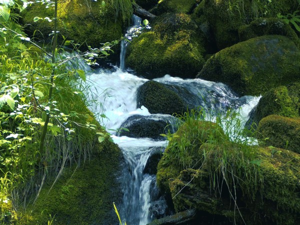 River Rock Stream Church Worship Background