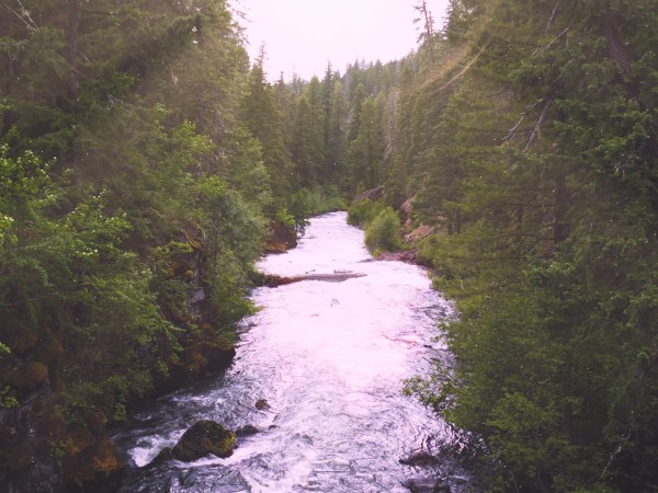 Sunlit River Nature Background