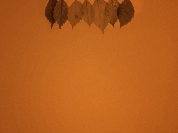 Small Groups Fall Worship Background