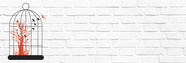 Freedom and Purpose Church Website Banner