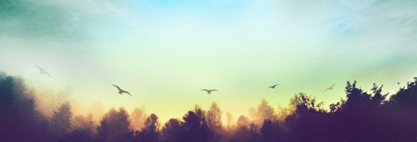 Steadfast Love of the Lord Website Banner