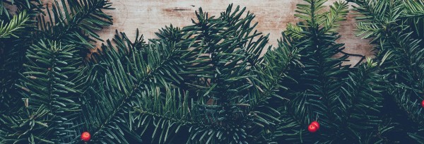 Merry Christmas From Our Family To Yours Website Banner