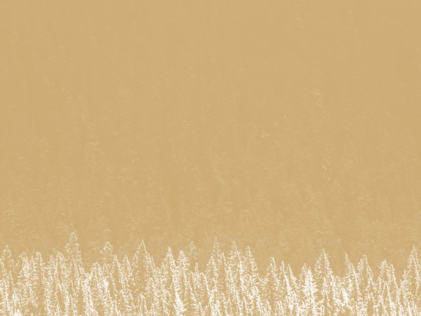 Golden Winter Christmas Worship Background