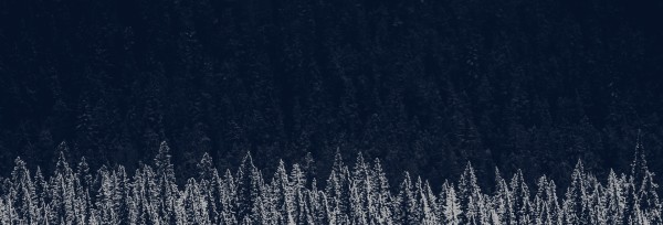 Winter Christmas Website Banner