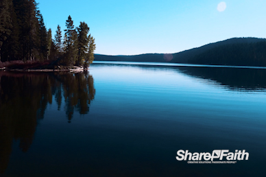 Forest Lake Nature Background Video