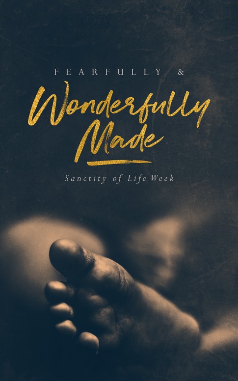 Fearfully & Wonderfully Made Church Bulletin
