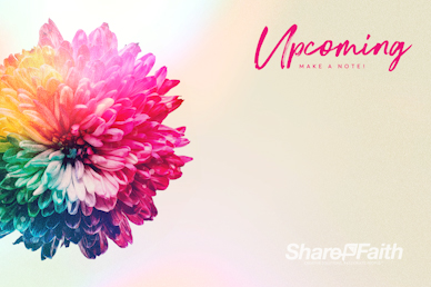 Women's Bible Study Announcements Video