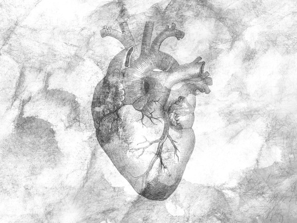 The Heart Of Prayer Church Background Image