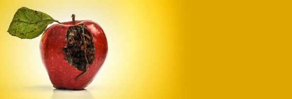 Truth & Consequences Church Website Banner