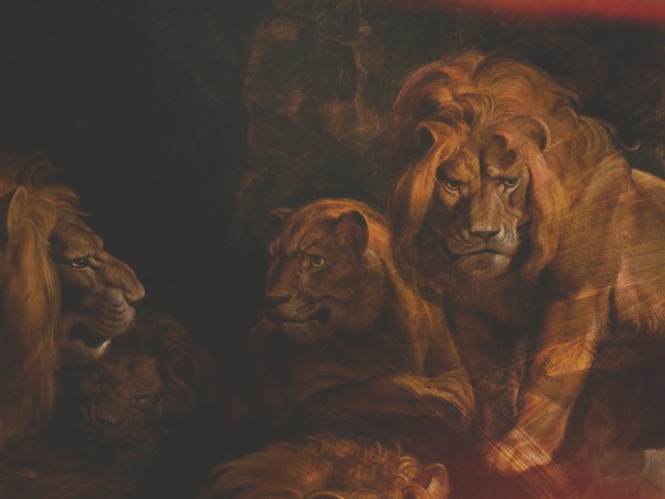 Book Of Daniel Lion's Den Church Worship Background