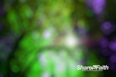 Leafy Green Bokeh Motion Background