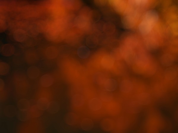 Orange Bokeh Worship Background