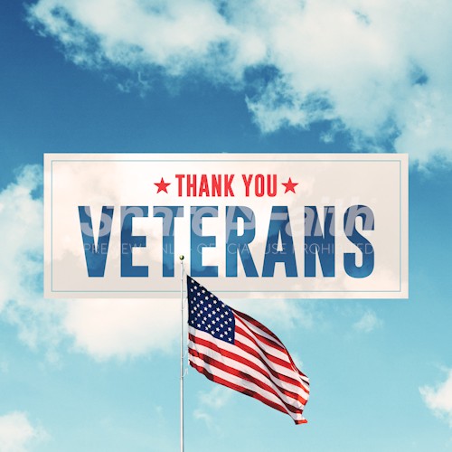 Veterans Day Social Media Graphic