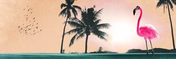 Summer Playlist Church Website Banner