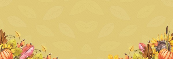 Harvest Party Church Website Banner
