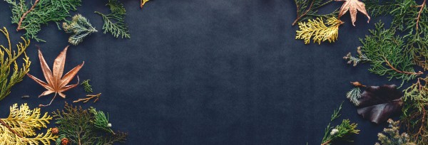 Celebrate Thanksgiving Together Website Banner