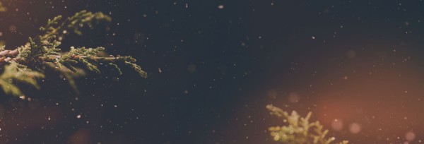 Very Merry Christmas Church Website Banner