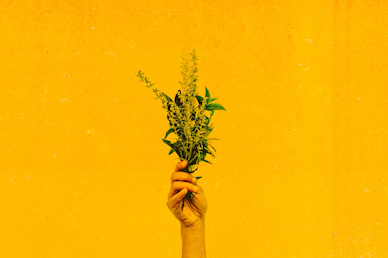 Generous Flowers No Text Church Video