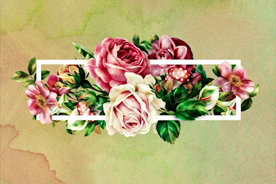 Be Kind Rose No Text Church Motion Graphic