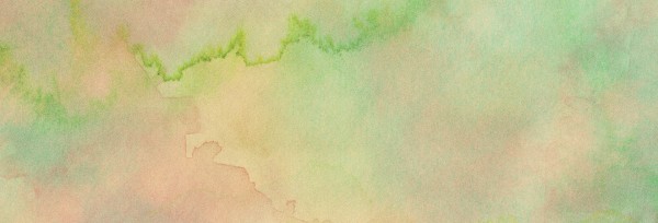 Be Kind Rose Church Website Banner
