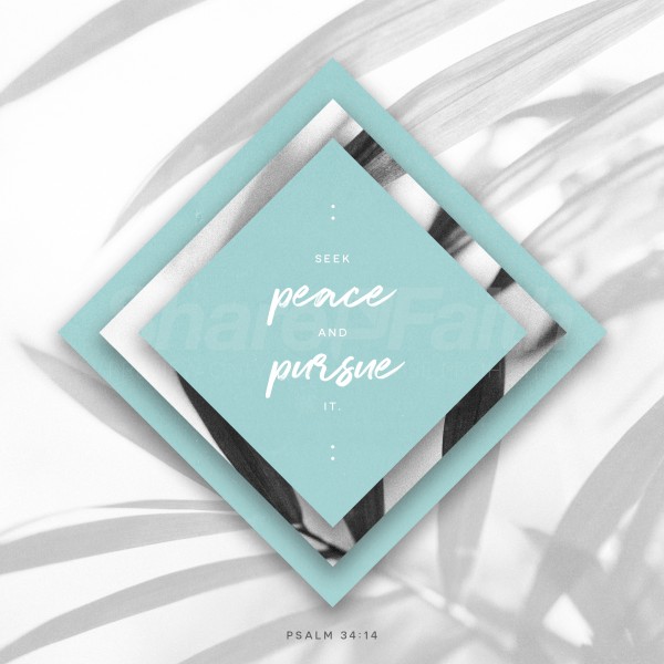 Seek Peace Social Media Graphic
