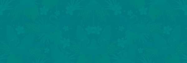 Flamingle Women's Group Website Banner