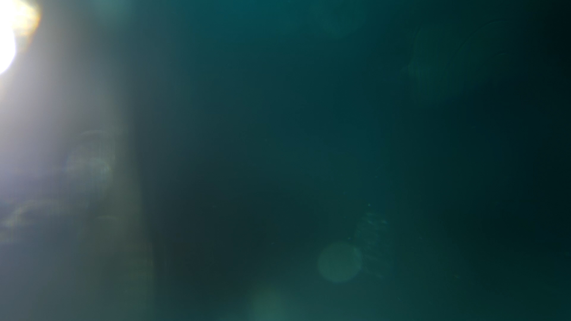 Dark Green Light Flare Church Motion