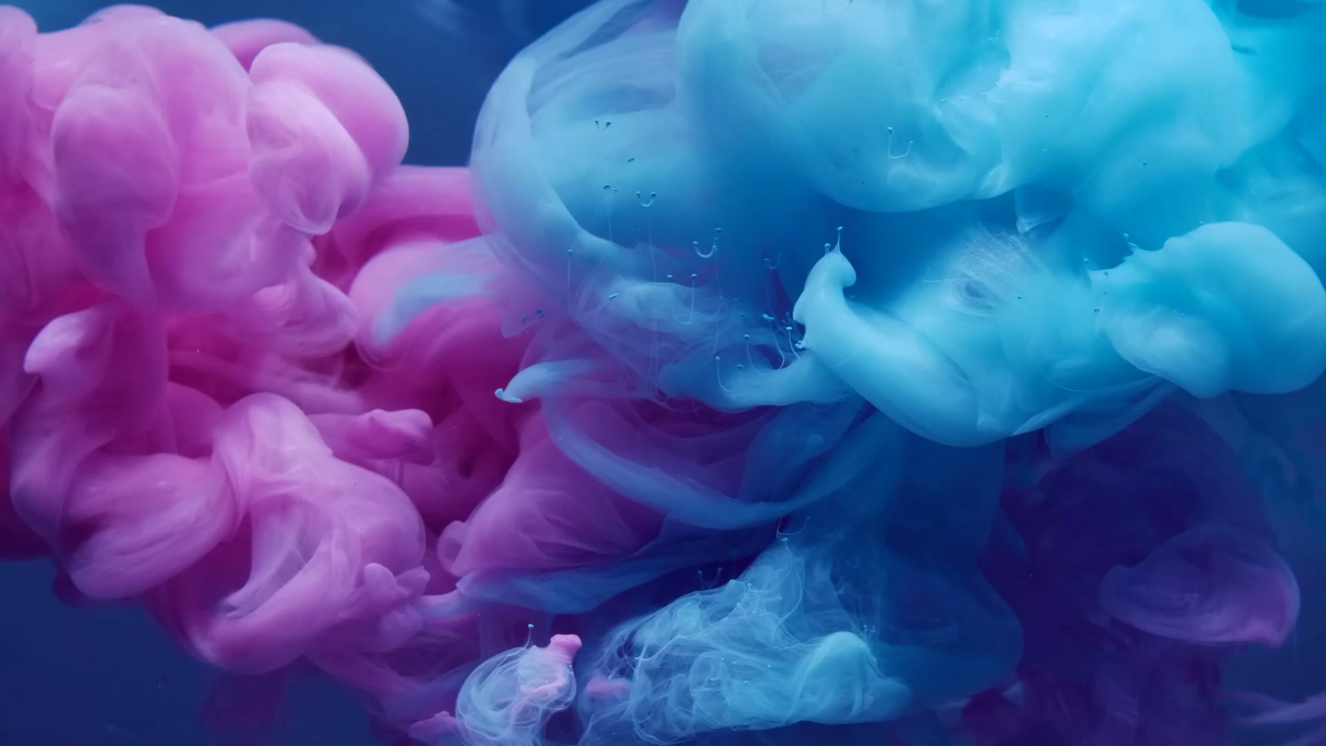Worship 19 Colormix Church Motion Graphics