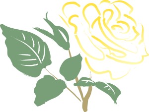 Gold Rose