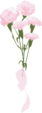 Pink Carnation Gift Bouquet