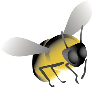 Honeybee Flying