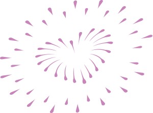 Purple Heart Firework