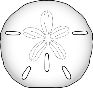 Sand Dollar
