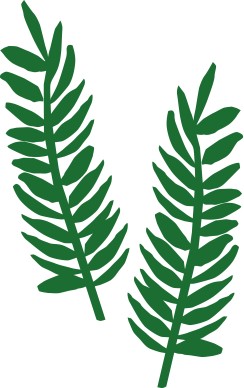 Two Palm Fronds