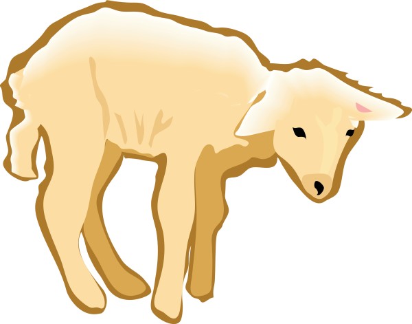 Standing Lamb