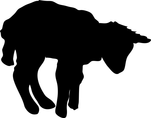 Lamb in Silhouette