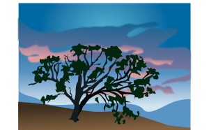 Old Tree On Hillside with Sky