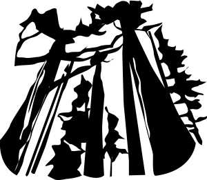 Tall Trees silhouette