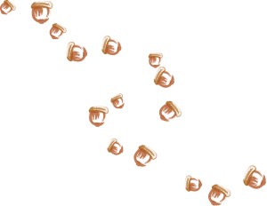 Many Acorns Tumbling Down