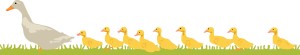 Easter Ducklings