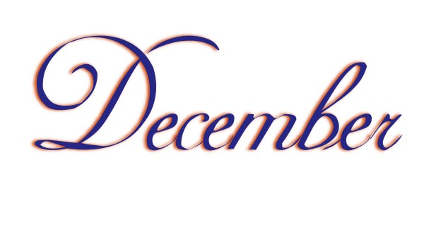 Elegant Navy Blue December