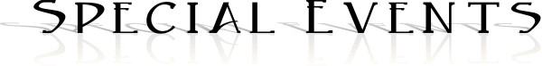 Formal Special Events with reflection