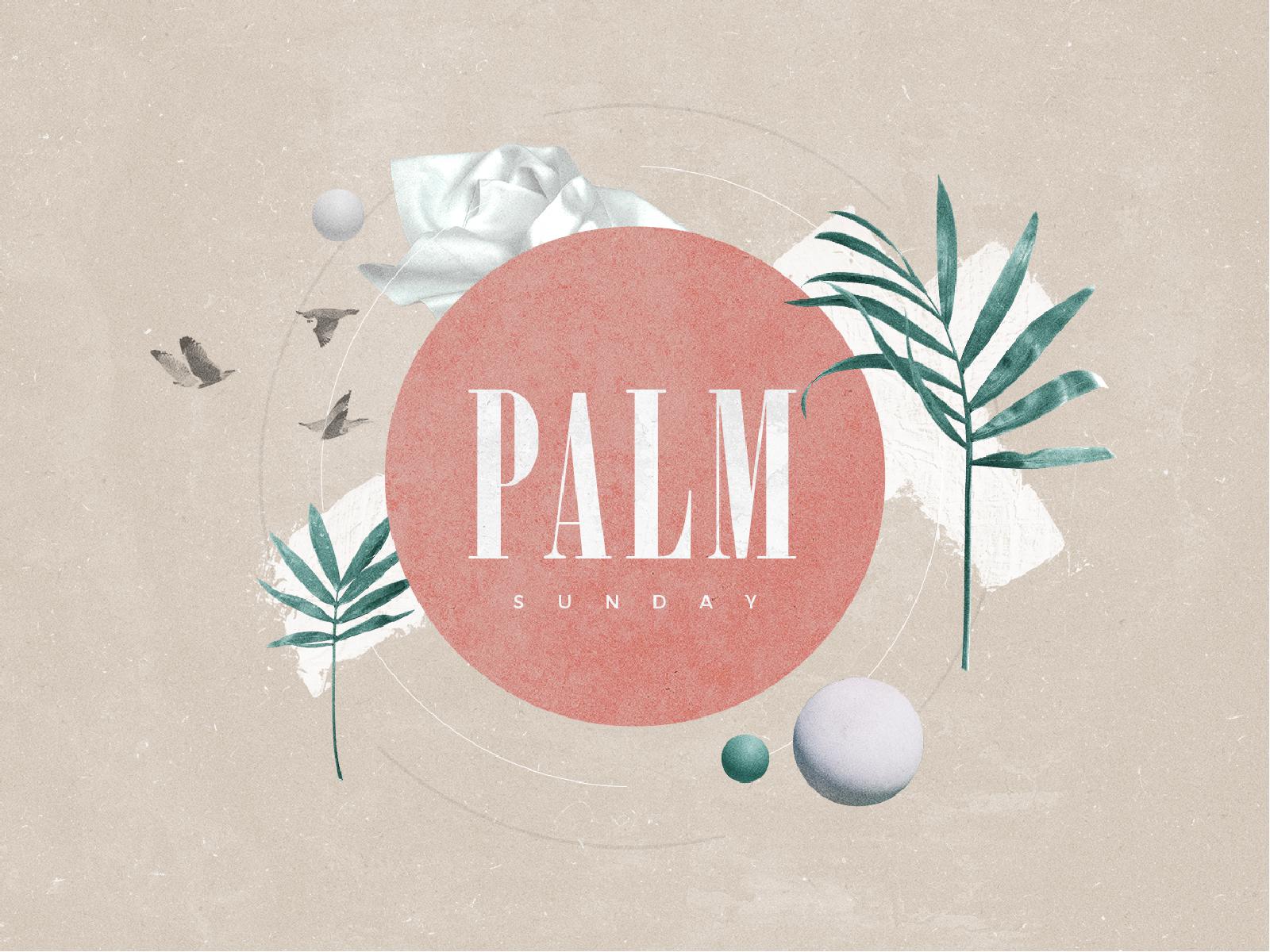 Palm Sunday Pink Church Powerpoint